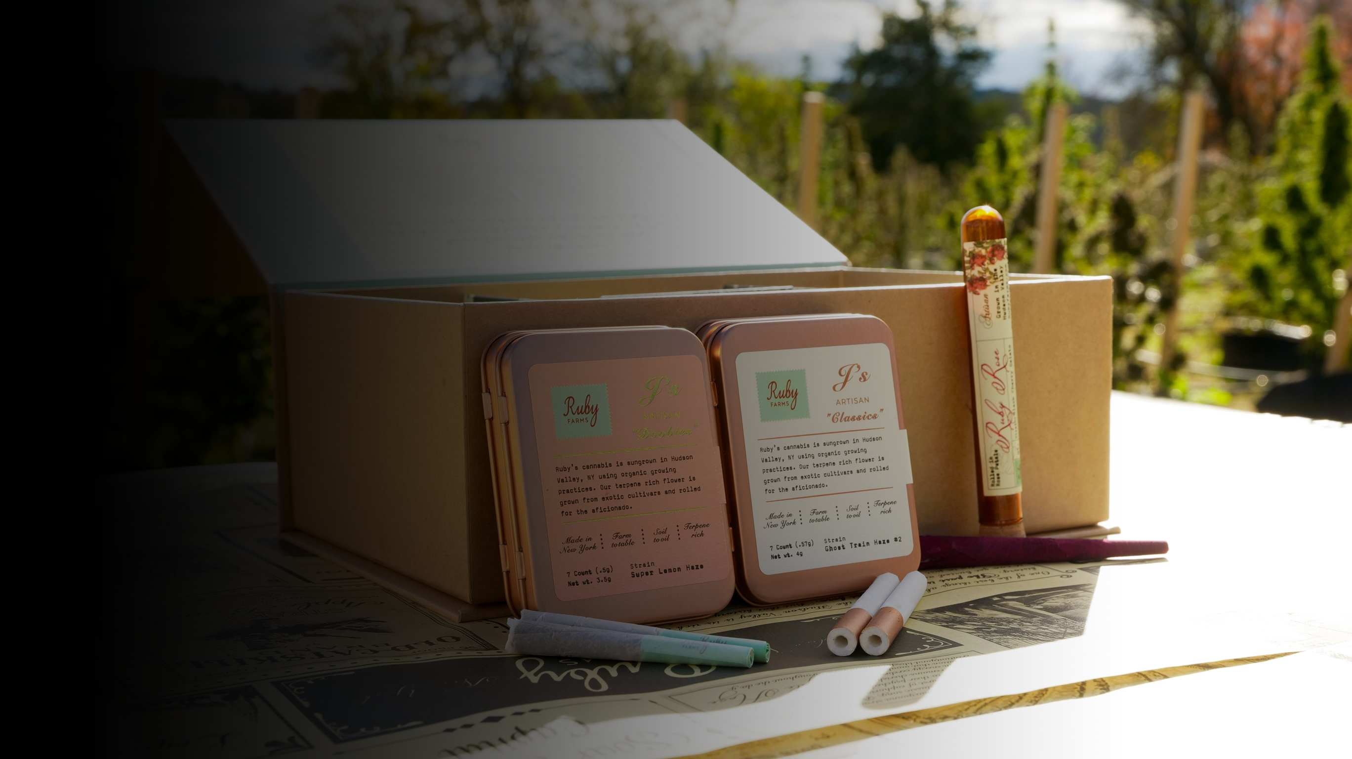 From the Finger Lakes to Utica