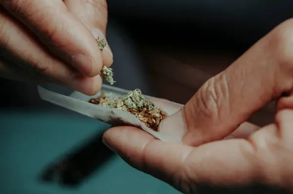 5 Cannabis Myths That Could Be Affecting Your Experience