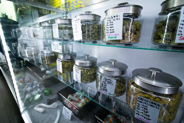 6 Signs of High-Quality Flower