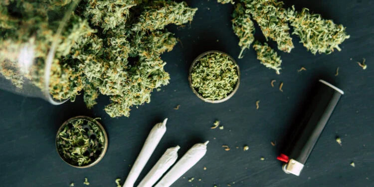 Cannabis Tolerance Explained: When It Might Be Time for a Reset