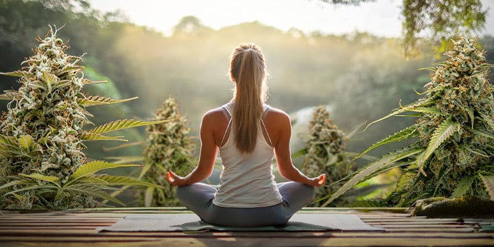 How to Choose Cannabis for Anxiety and Relaxation