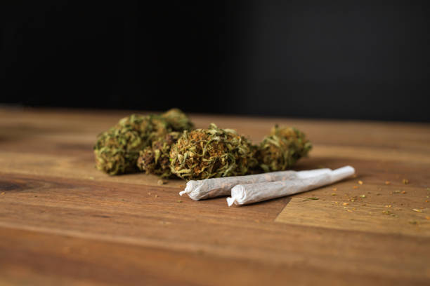 Find Your Perfect Match: A Guide to Choosing the Right Cannabis Strain💨