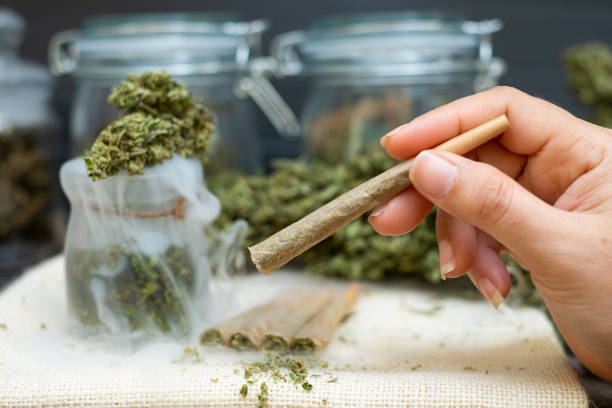 What Are Terpenes?